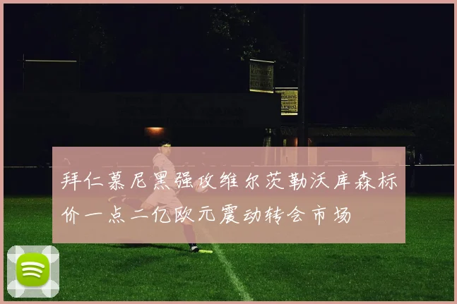 拜仁慕尼黑强攻维尔茨勒沃库森标价一点二亿欧元震动转会市场