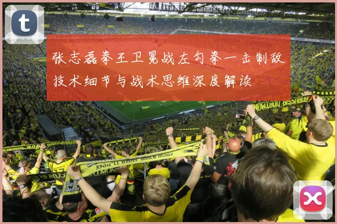 张志磊拳王卫冕战左勾拳一击制敌技术细节与战术思维深度解读