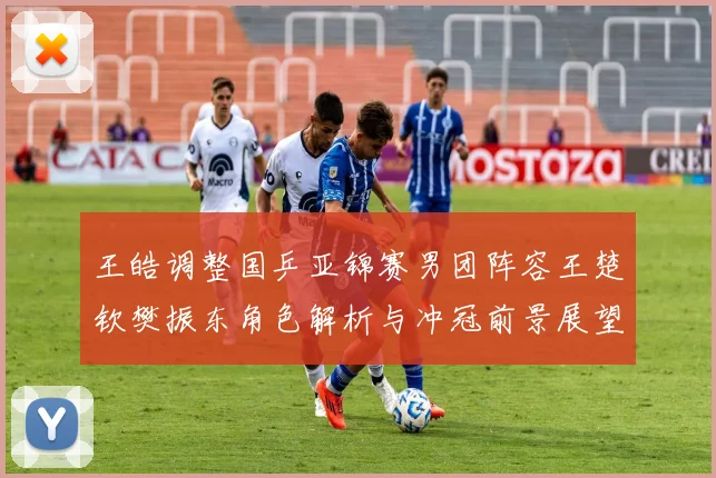 王皓调整国乒亚锦赛男团阵容王楚钦樊振东角色解析与冲冠前景展望