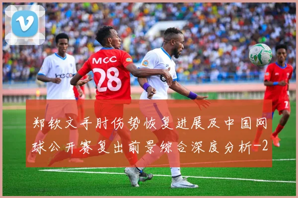 郑钦文手肘伤势恢复进展及中国网球公开赛复出前景综合深度分析